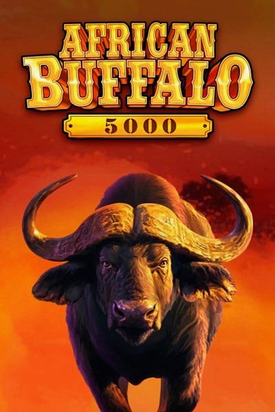 African Buffalo 5000 game at Cleobetra Casino